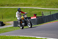 Vintage-motorcycle-club;eventdigitalimages;mallory-park;mallory-park-trackday-photographs;no-limits-trackdays;peter-wileman-photography;trackday-digital-images;trackday-photos;vmcc-festival-1000-bikes-photographs